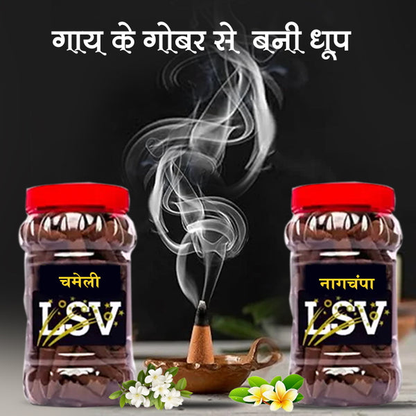 Dhoop Cone Chameli & Nag Champa Cow Dung Natural Incense 60+60 Cone With Stand By LSV Finery (200 Gram)